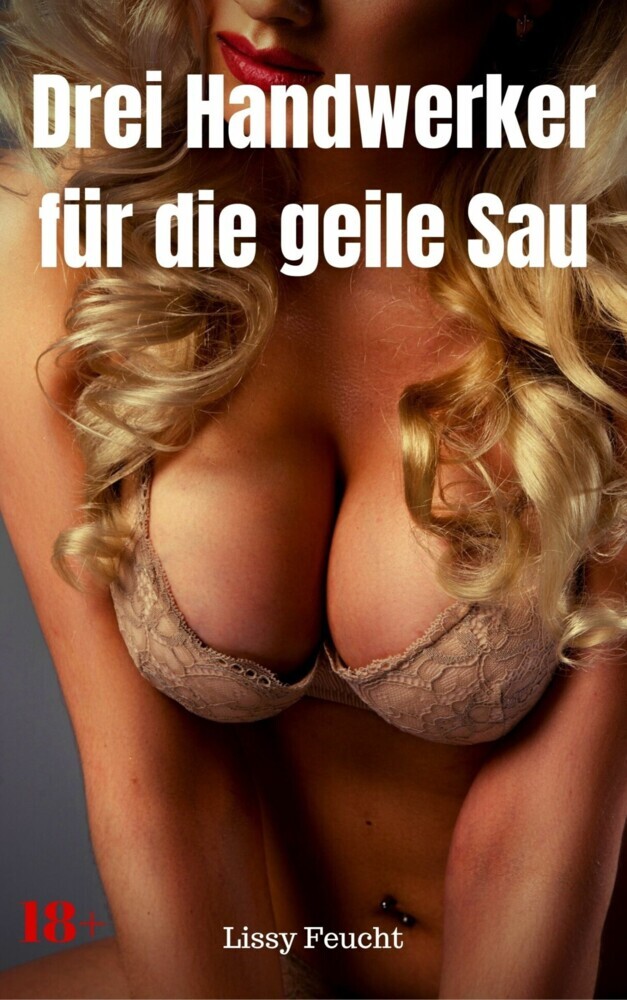 Drei Handwerker für die geile Sau main product photo