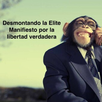 Desmontando la elite