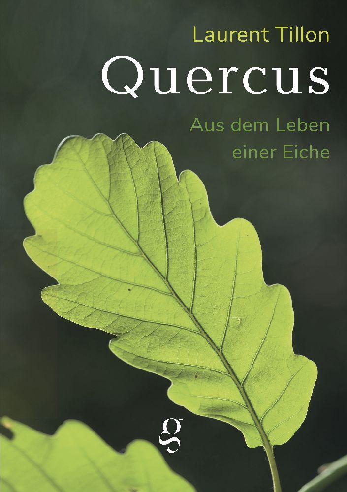 Quercus - Aus dem Leben einer Eiche main product photo