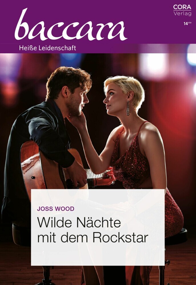 Wilde Nächte mit dem Rockstar main product photo