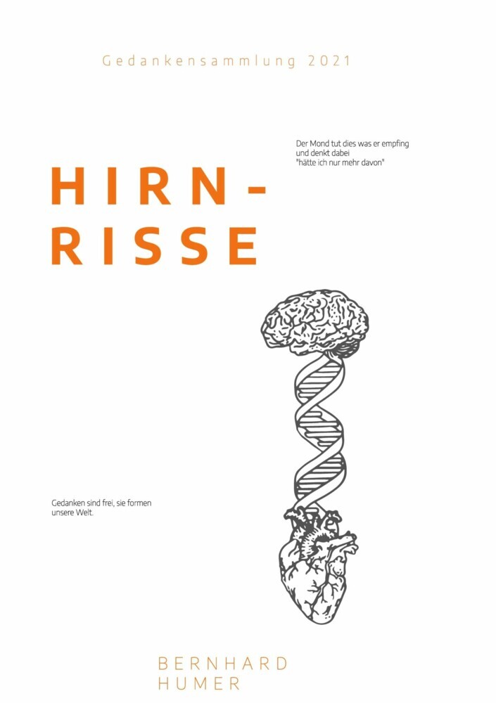 Hirnrisse main product photo