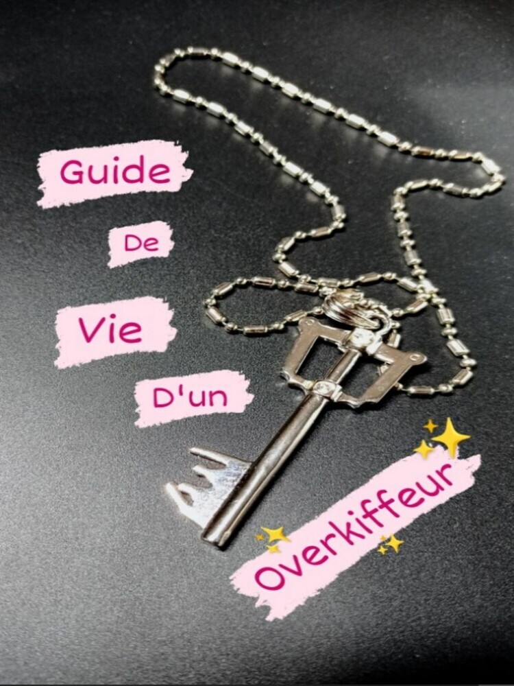 Guide de Vie d'un Overkiffeur main product photo