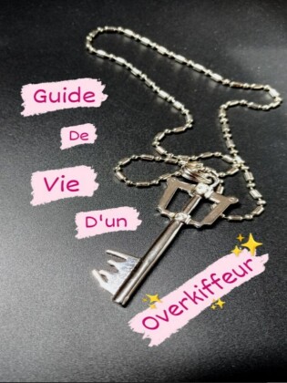 Guide de Vie d'un Overkiffeur