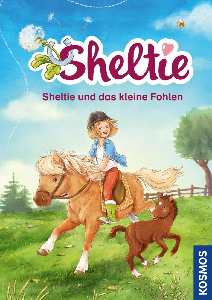 Sheltie - Sheltie und das kleine Fohlen main product photo