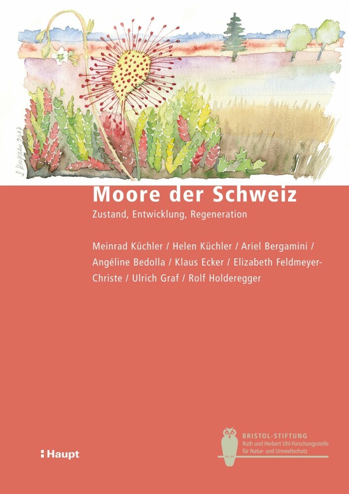 Moore der Schweiz main product photo