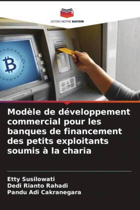 Modèle de développement commercial pour les banques de finan...