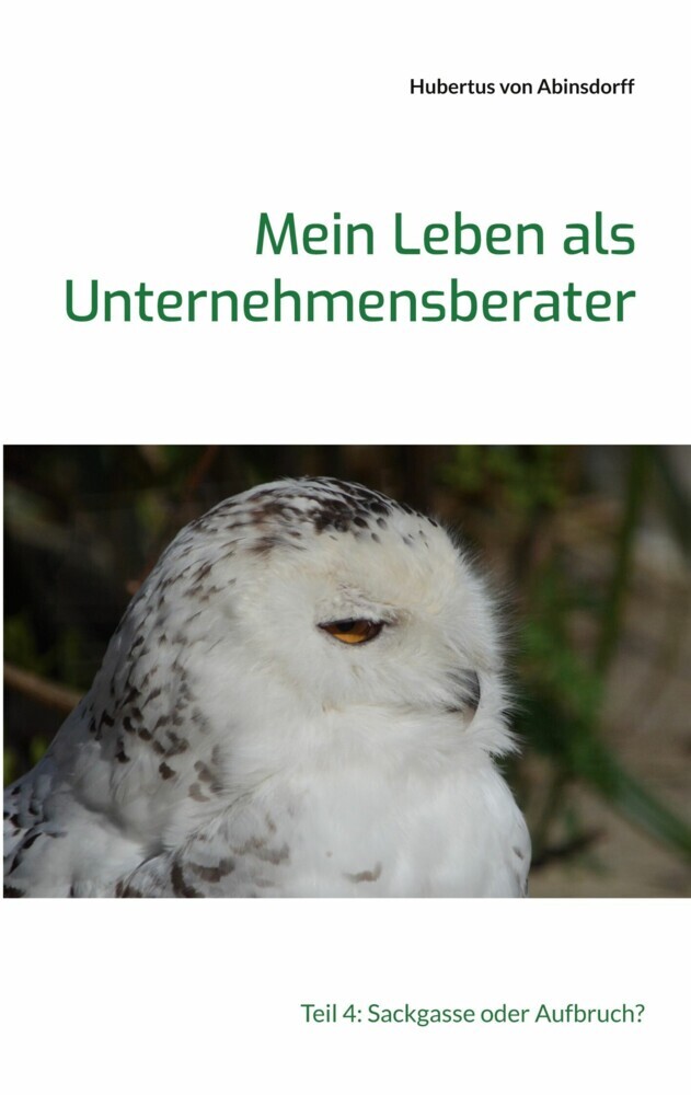 Mein Leben als Unternehmensberater main product photo