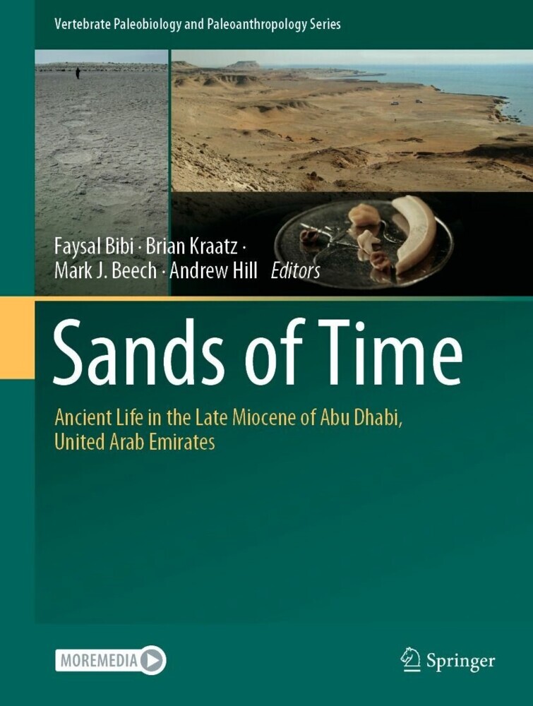 Sands of Time main product photo
