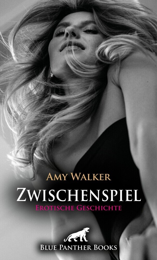 Zwischenspiel | Erotische Geschichte main product photo
