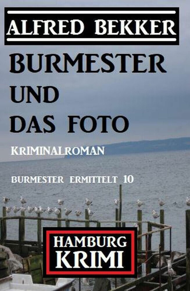Burmester und das Foto: Hamburg Krimi: Burmester ermittelt 10 main product photo