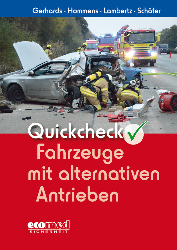 Quickcheck Fahrzeuge mit alternativen Antrieben main product photo