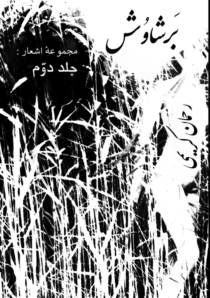 Barshawosh main product photo