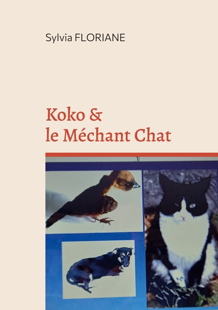 Koko et le méchant chat main product photo