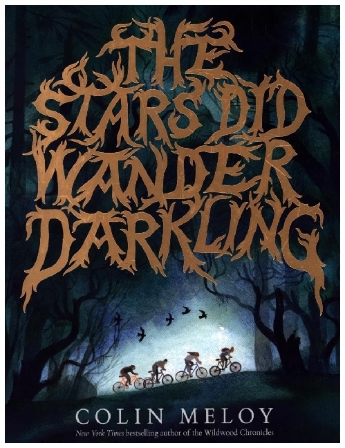 The Stars Did Wander Darkling main product photo