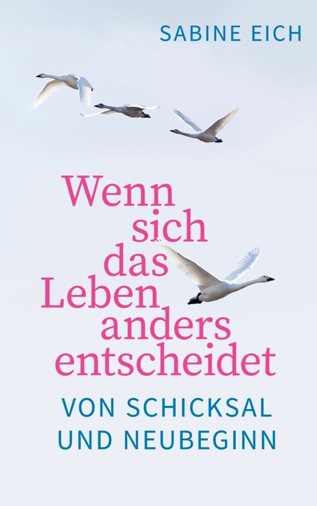 Wenn sich das Leben anders entscheidet main product photo