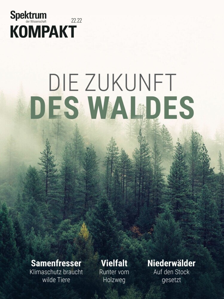 Spektrum Kompakt - Die Zukunft des Waldes main product photo