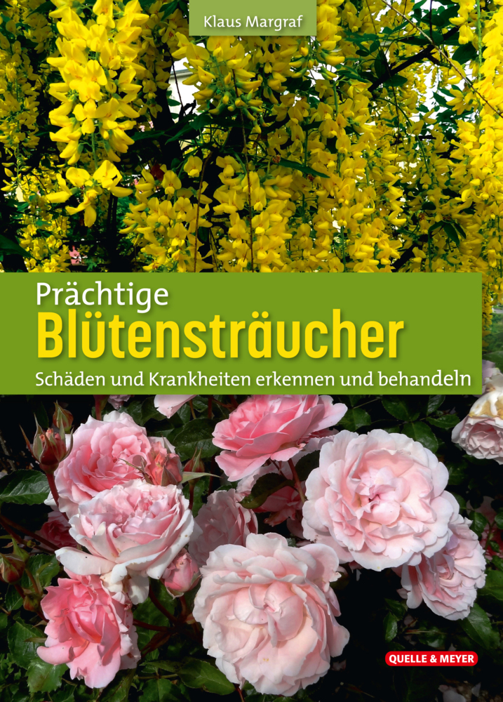Prächtige Blütensträucher main product photo