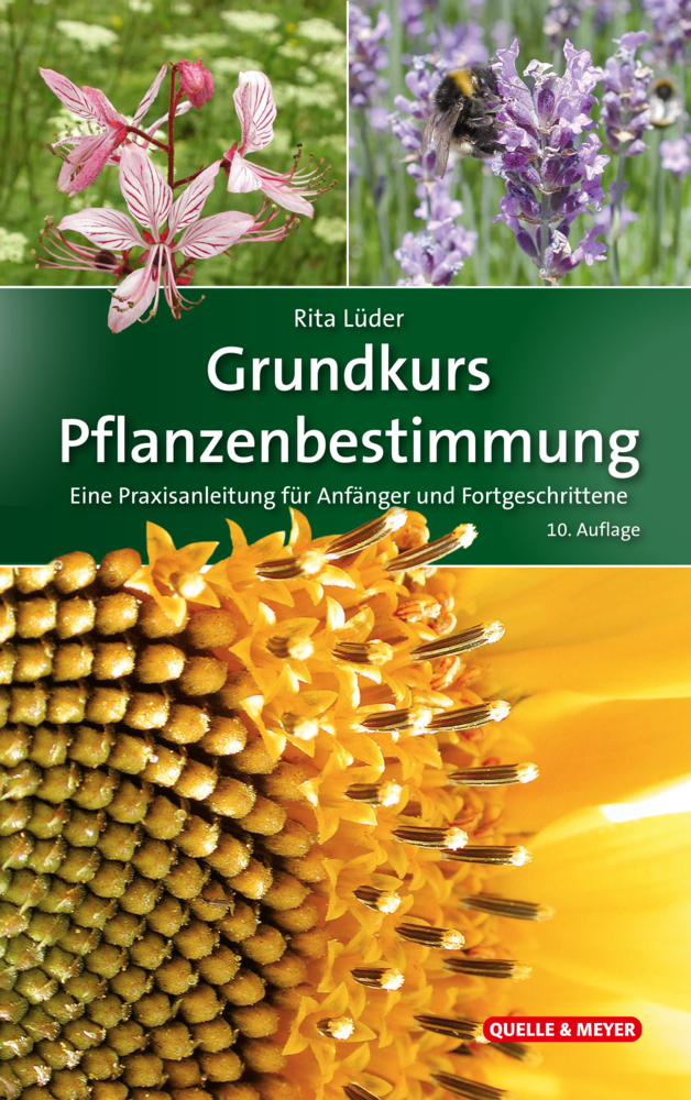 Grundkurs Pflanzenbestimmung main product photo