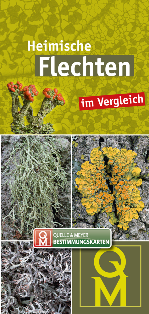 Heimische Flechten main product photo