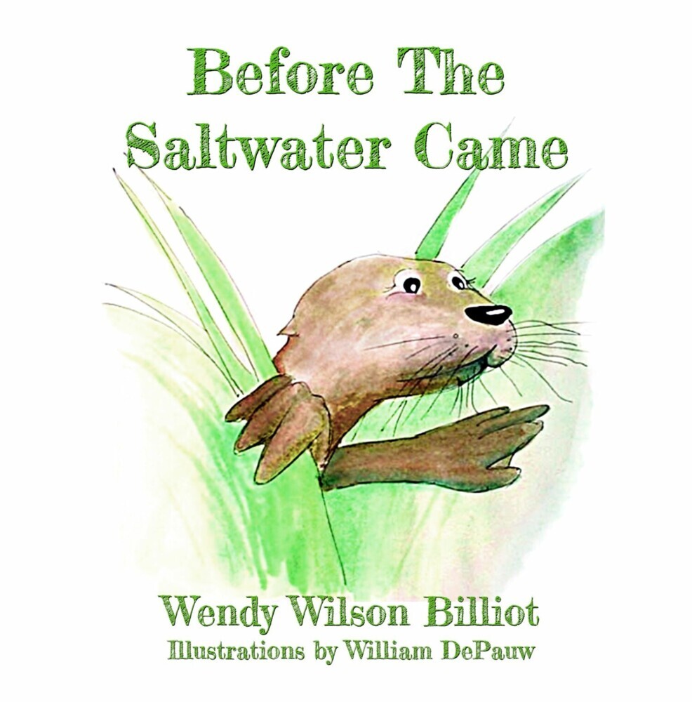Before The Saltwater Came main product photo