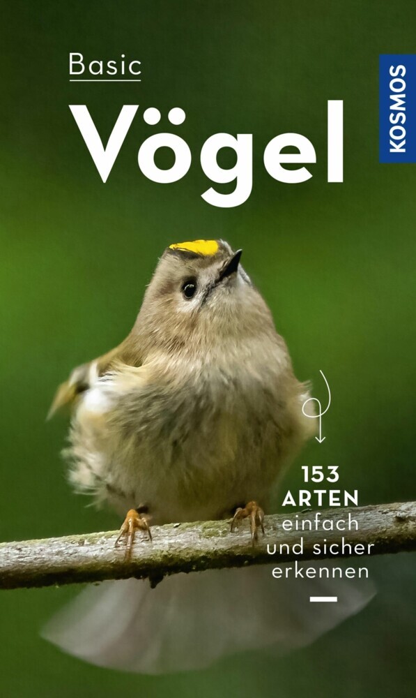 BASIC Vögel main product photo