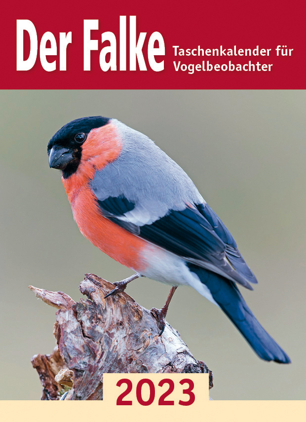 Der Falke-Taschenkalender für Vogelbeobachter 2023 main product photo