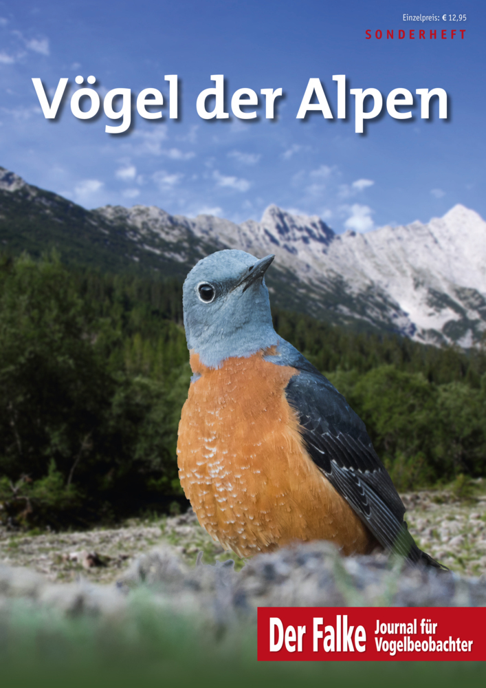 Vögel der Alpen main product photo