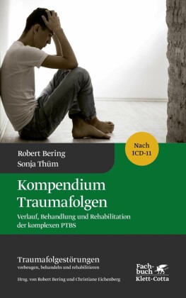 Kompendium Traumafolgen (Traumafolgestörungen, Bd. 2)