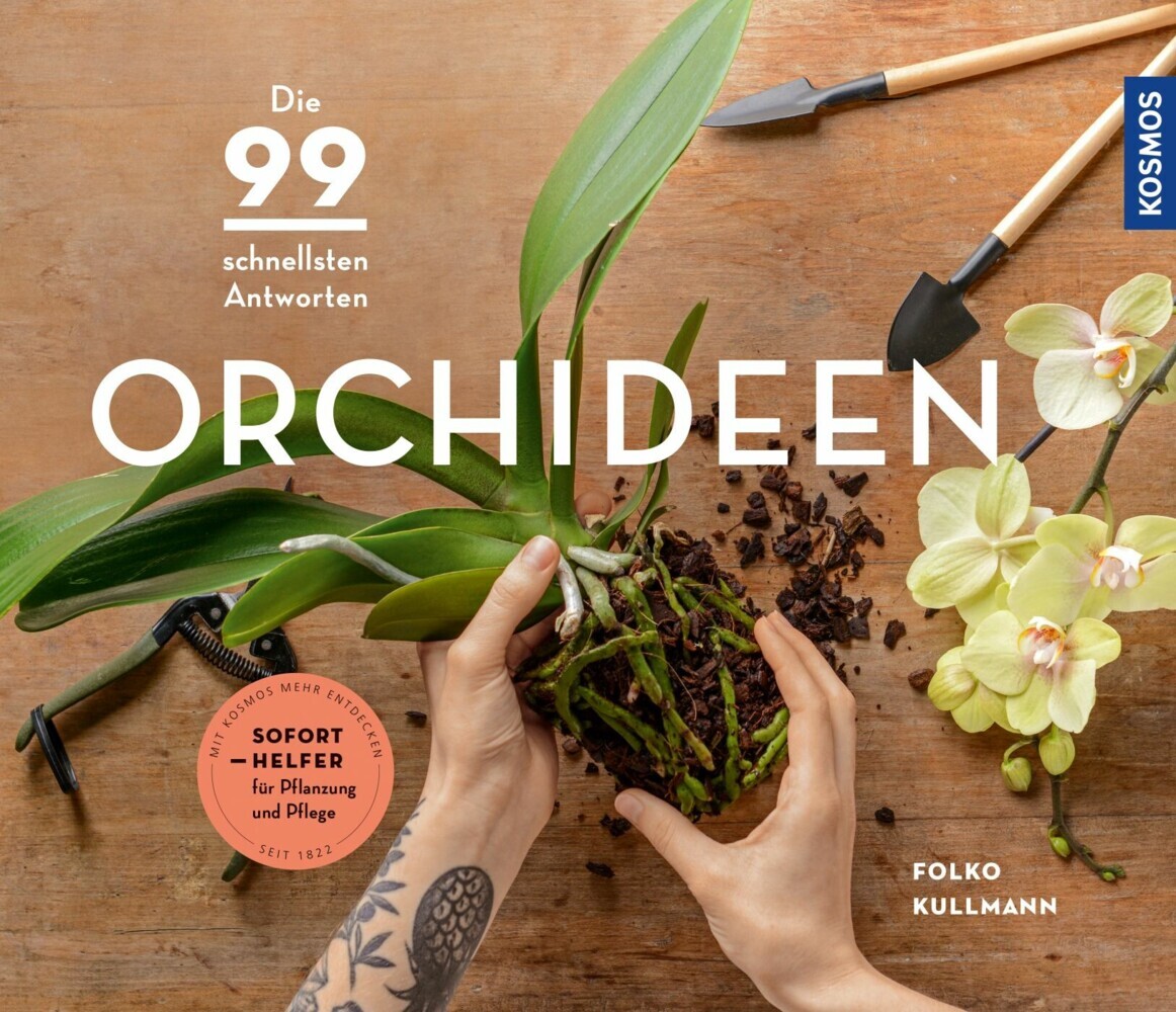 Orchideen main product photo