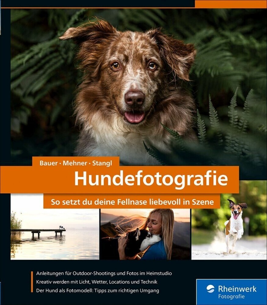 Hundefotografie main product photo