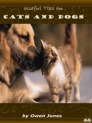 Cats And Dogs