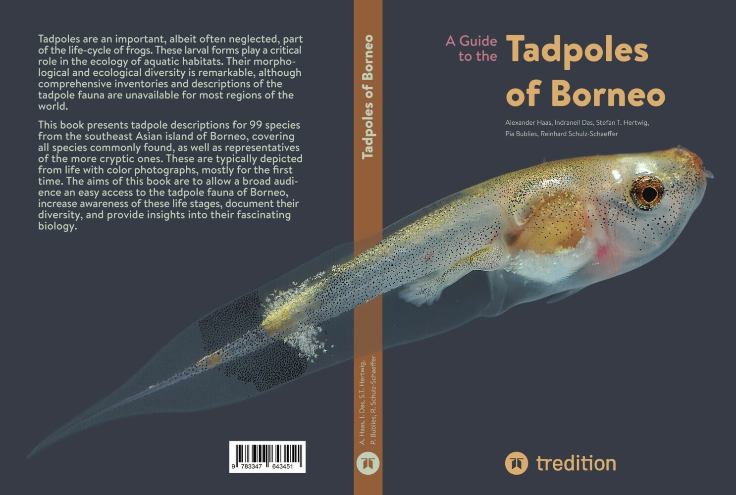 A Guide to the Tadpoles of Borneo main product photo