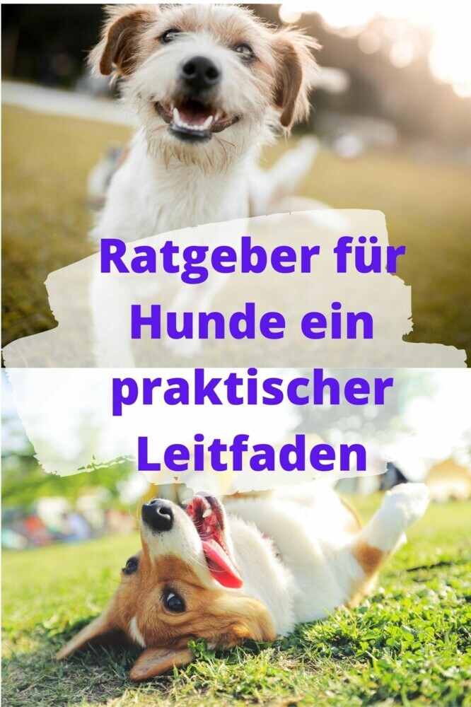 Ratgeber für Hunde ein praktischer Leitfaden main product photo