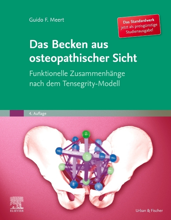 Das Becken aus osteopathischer Sicht main product photo