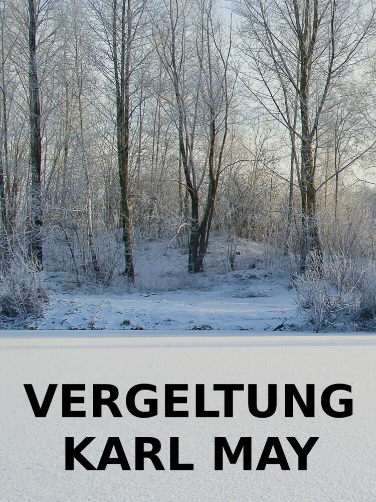 Vergeltung main product photo