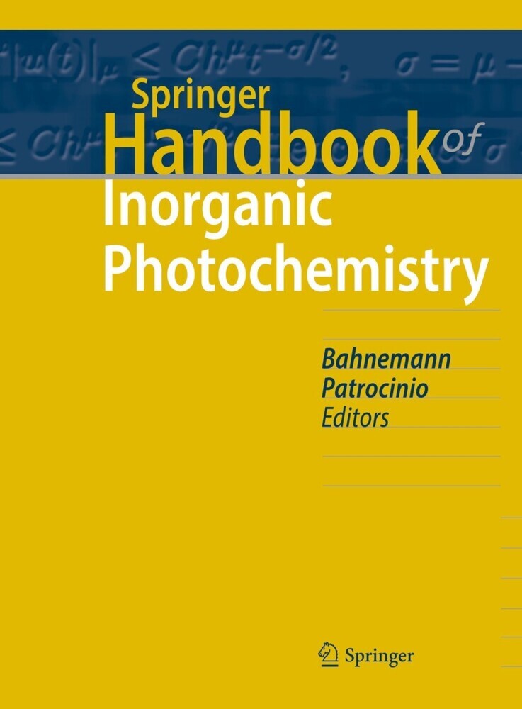 Springer Handbook of Inorganic Photochemistry main product photo