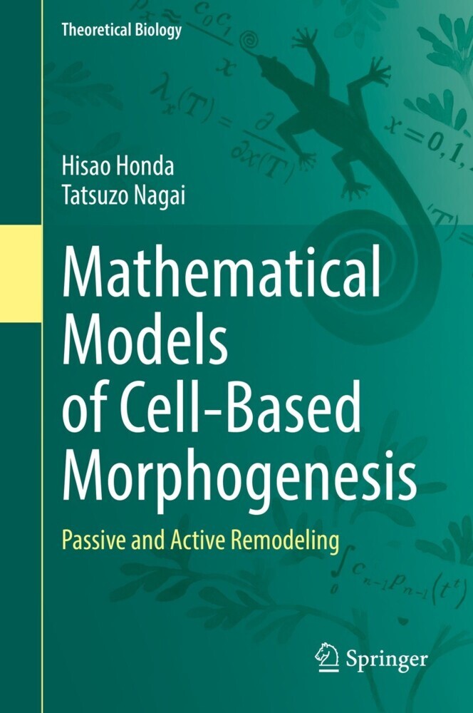 Mathematical Models of Cell-Based Morphogenesis main product photo