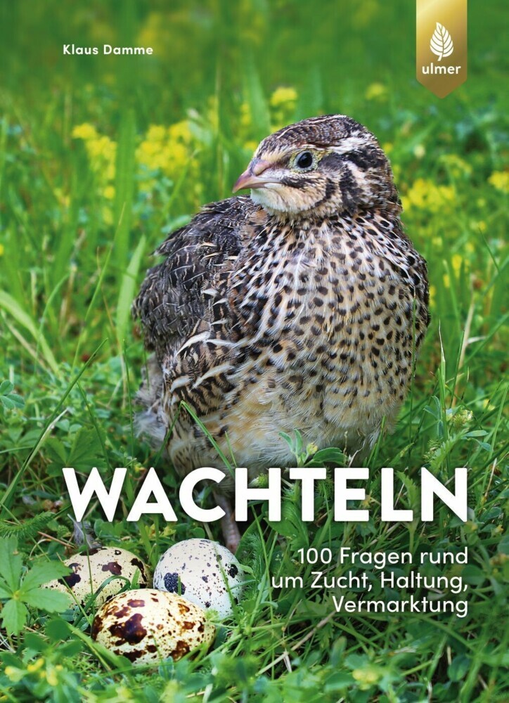 Wachteln main product photo
