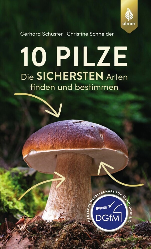 10 Pilze main product photo