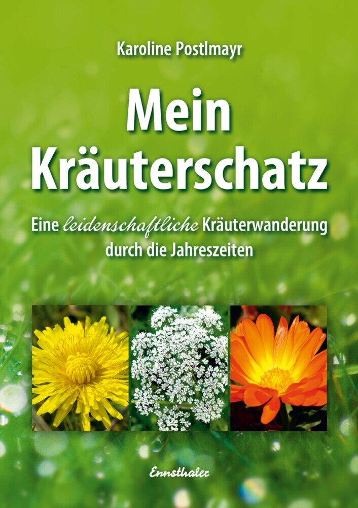 Mein Kräuterschatz main product photo