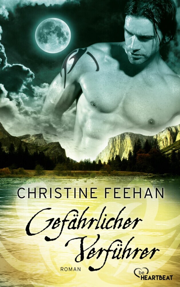 Gefährlicher Verführer main product photo