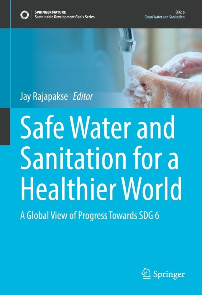 Safe Water and Sanitation for a Healthier World main product photo
