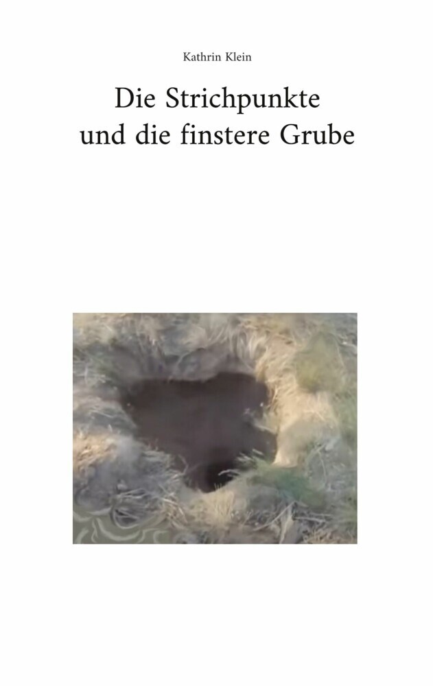 Die Strichpunkte und die finstere Grube main product photo
