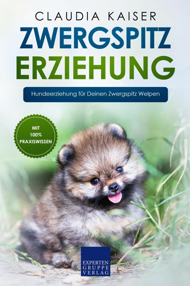 Zwergspitz Erziehung main product photo