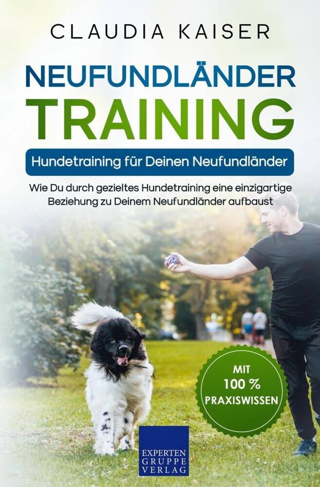 Neufundländer Training - Hundetraining für Deinen Neufundländer main product photo