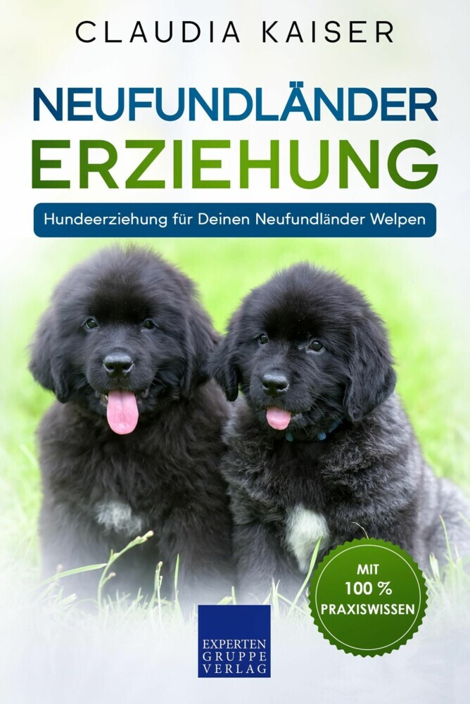 Neufundländer Erziehung main product photo