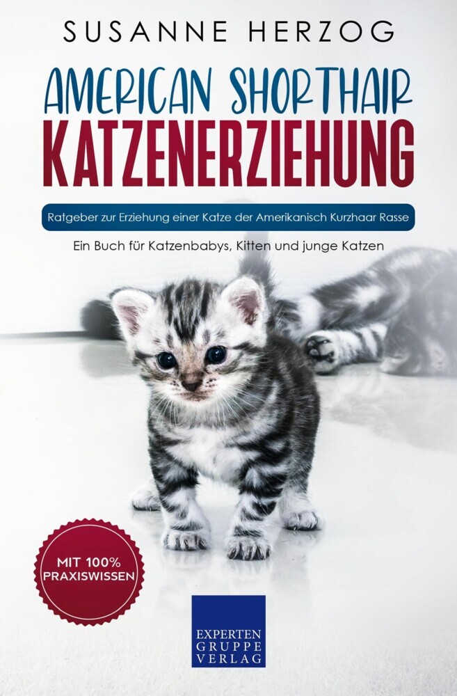 American Shorthair Katzenerziehung - Ratgeber zur Erziehung einer Katze der Amerikanisch Kurzhaar Rasse main product photo