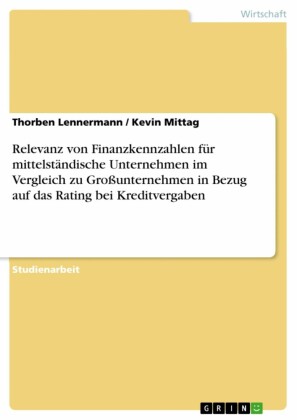 Relevanz von Finanzkennzahlen für mittelständische Unternehmen im Vergleich zu Großunternehmen in Bezug auf das Rating bei Kreditvergaben