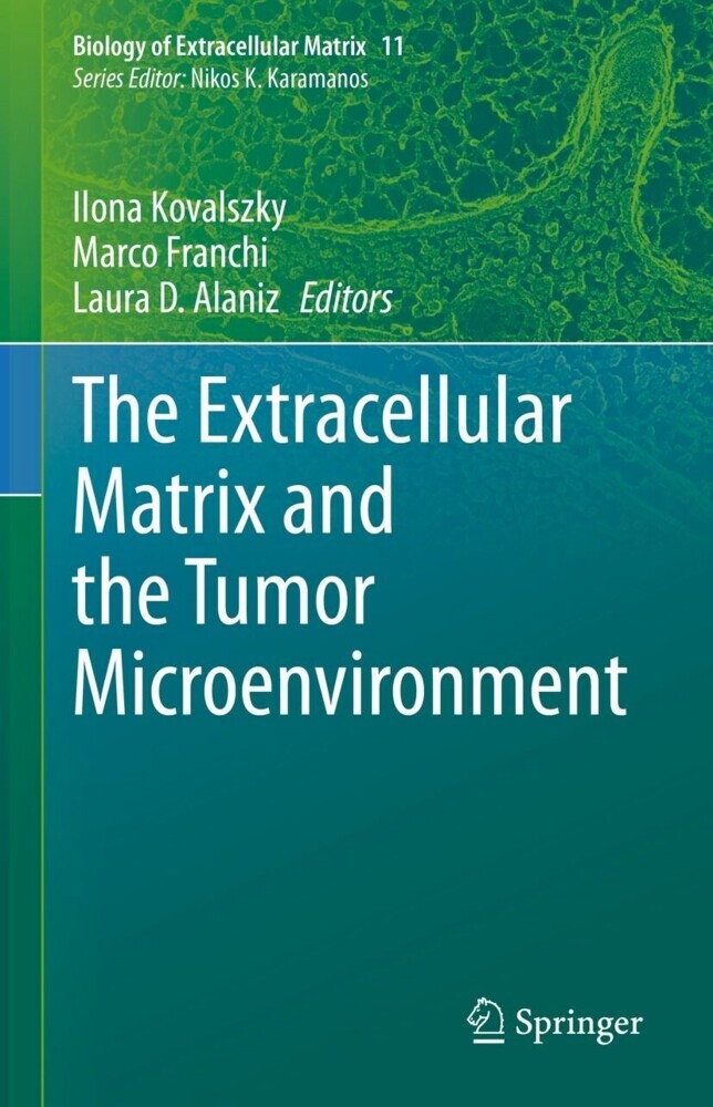 The Extracellular Matrix and the Tumor Microenvironment main product photo