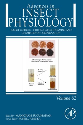 Insect cuticle - Chitin, Catecholamine and Chemistry of Complexation